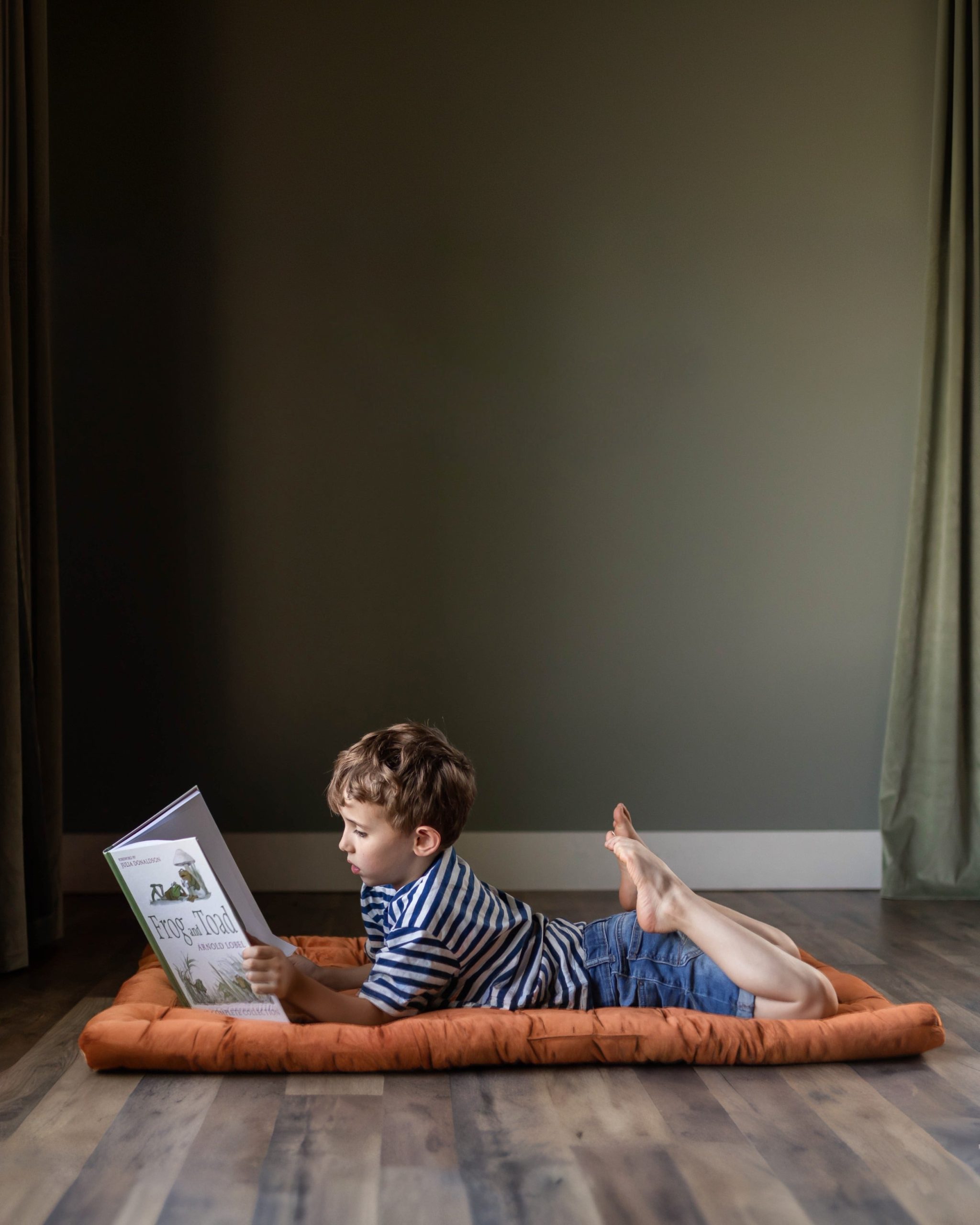 Cassaro-rust_pillow.jpg Cassaro rust pillow scaled