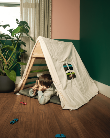 CassaroKids LargeTriangleTentPillow PBA17