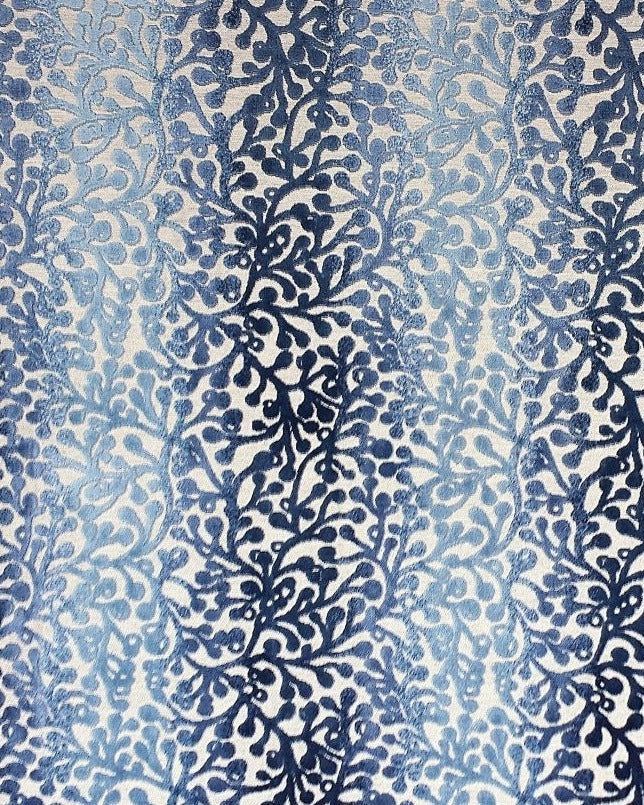 chinaberry_pacific_cb047-243.jpg chinaberry pacific cb047 243