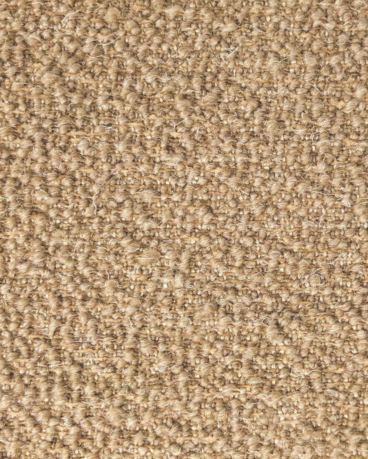 linus3-min_e8bdd2f7-7403-4d88-855f-d57d33932de9.jpg linus3 min e8bdd2f7 7403 4d88 855f d57d33932de9