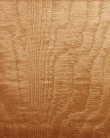 Fabric By The Yard - Moonshine Fabric