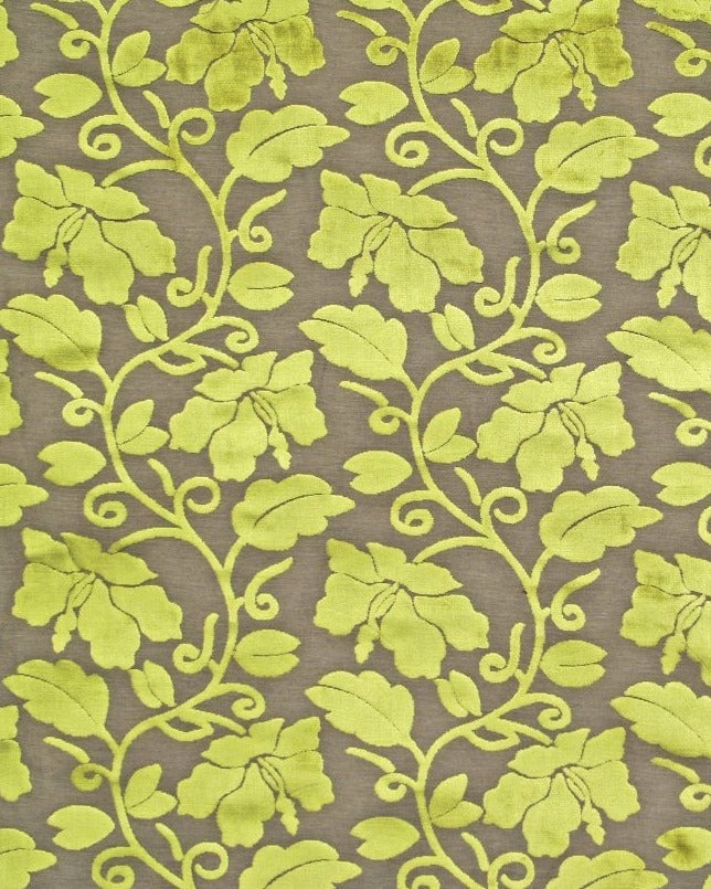 pembroke_lime_vl7136-52_1ca783e1-c6eb-4c0b-9e12-7a5354e90dc3.jpg pembroke lime vl7136 52 1ca783e1 c6eb 4c0b 9e12 7a5354e90dc3