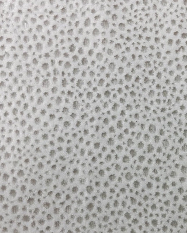 salzana_pristine_sz22-01.jpg salzana pristine sz22 01